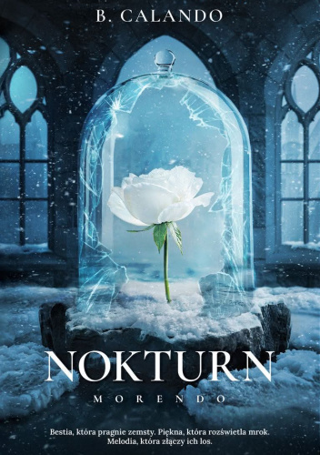 Nokturn