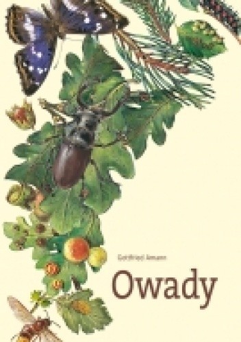 Owady