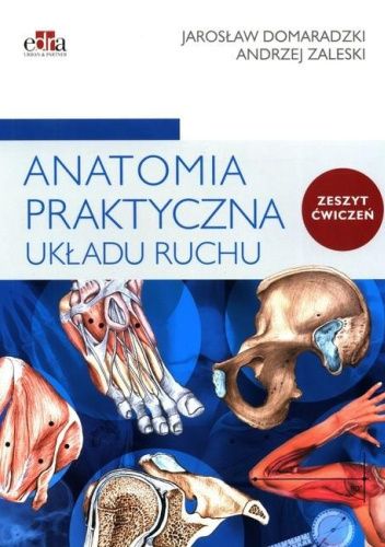 Anatomia praktyczna układu ruchu. Zeszyt ćwiczeń