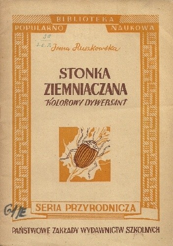Stonka ziemniaczana. Kolorowy dywersant