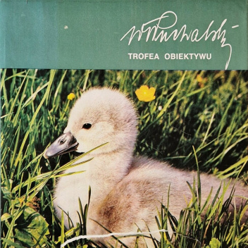 Trofea obiektywu