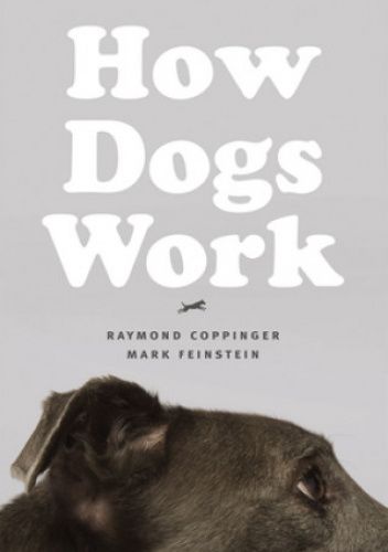 How Dogs Work
