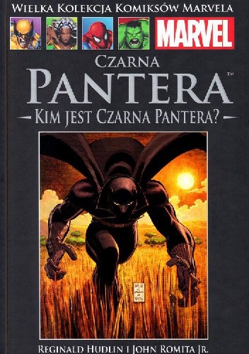 Czarna Pantera: Kim jest Czarna Pantera?