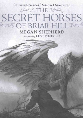 The Secret Horses of Briar Hill