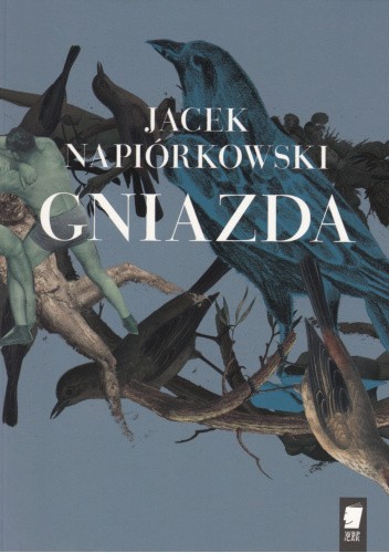 Gniazda