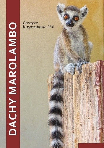 Dachy Marolambo