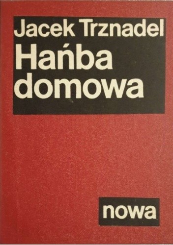 Hańba domowa. Rozmowy z pisarzami