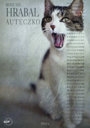 Auteczko