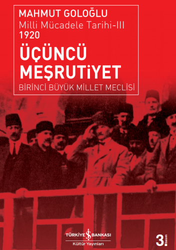 Üçüncü Meşrutiyet. Birinci Büyük Millet Meclisi. Milli Mücadele Tarihi-III 1920
