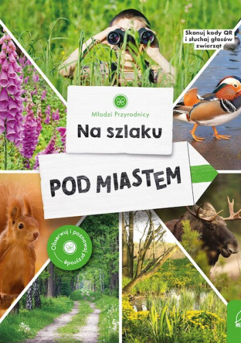 Na szlaku. Pod miastem