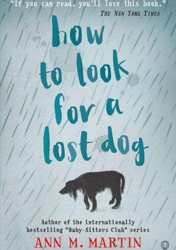 How To Look For A Lost Dog