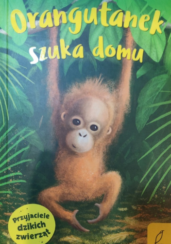 Orangutanek szuka domu