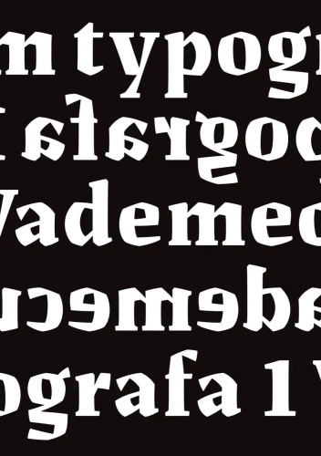 Vademecum typografa. Tom 1: forma