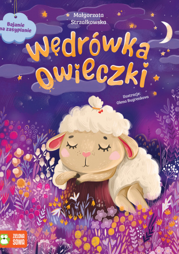 Wędrówka owieczki
