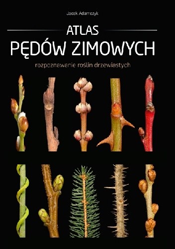 Atlas pędów zimowych