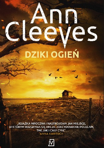 Dziki ogień