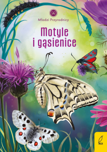 Motyle i gąsienice