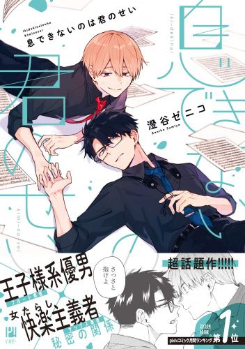 Iki Dekinai no wa Kimi no Sei