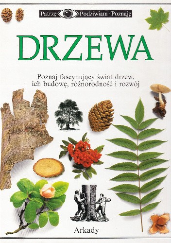 Drzewa