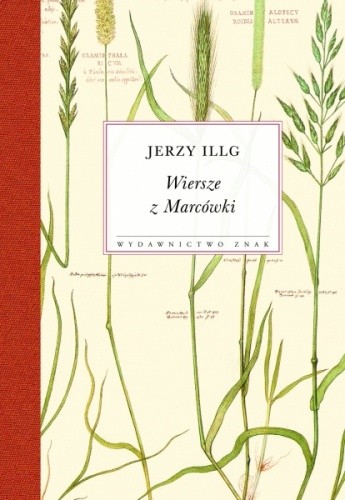 Wiersze z Marcówki
