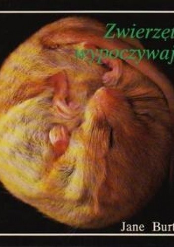 Zwierzęta wypoczywają