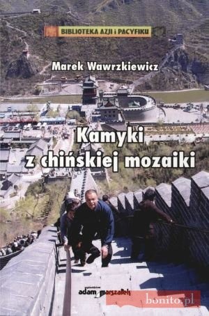 Kamyki z chińskiej mozaiki