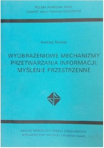 Wyobrażeniowe mechanizmy przetwarzania informacji: myślenie przestrzenne