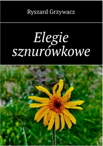 Elegie sznurówkowe
