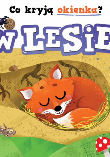 Co kryją okienka? W lesie