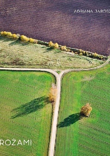 Rozdrożami