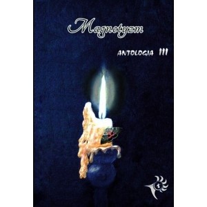 Magnetyzm