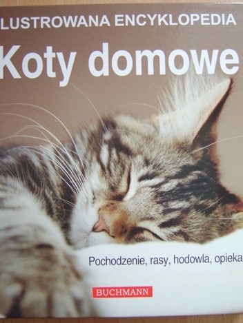 Koty domowe