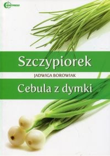 Szczypiorek. Cebula z dymki