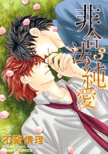 Higouhou Junai vol 3