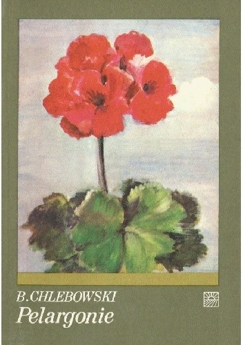 Pelargonie
