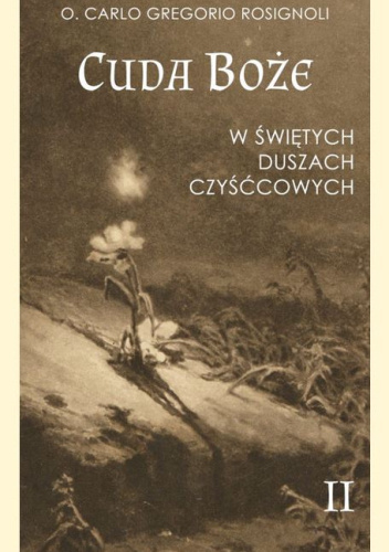 Cuda Boże w świętych duszach czyśćcowych. Tom 2