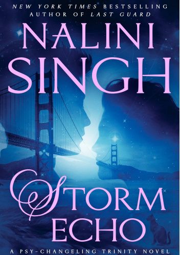 Storm Echo