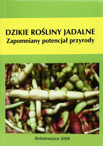 Dzikie rośliny jadalne. Zapomniany potencjał przyrody