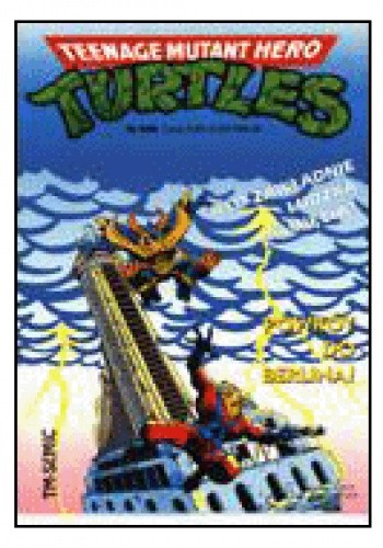 Teenage Mutant Hero Turtles 4/1996