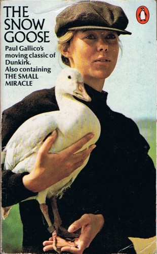 The Snow Goose