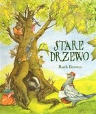 Stare drzewo