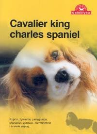 Cavalier king charles spaniel