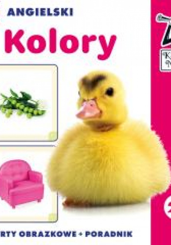 Kapitan Nauka Angielski Kolory (karty obrazkowe + poradnik)