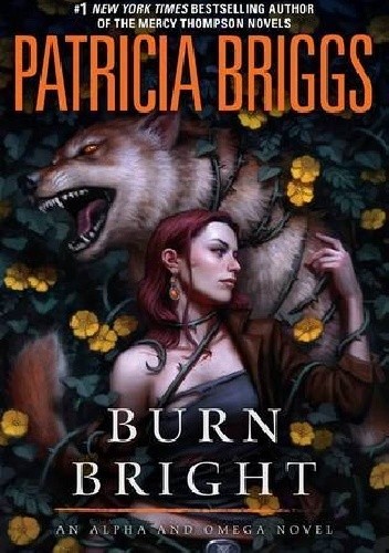 Burn Bright