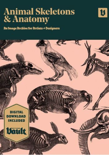 Animal Skeletons and Anatomy: An Image Archive for Artists and Designers