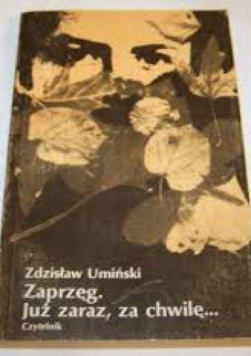 Zaprzęg; Już zaraz, za chwilę