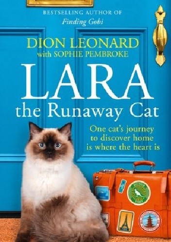 Lara The Runaway Cat