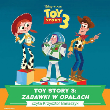 Toy Story 3. ZABAWKI W OPAŁACH