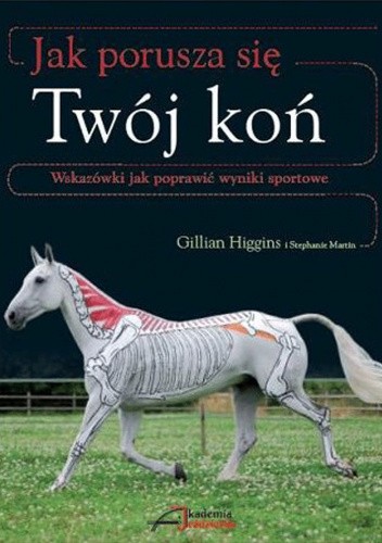 Jak porusza się Twój koń? Wskazówki jak poprawić wyniki sportowe