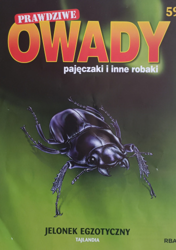 Jelonek egzotyczny